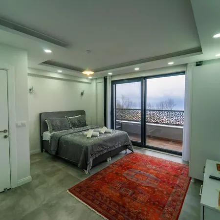 别墅 Sapanca Villa 萨潘贾