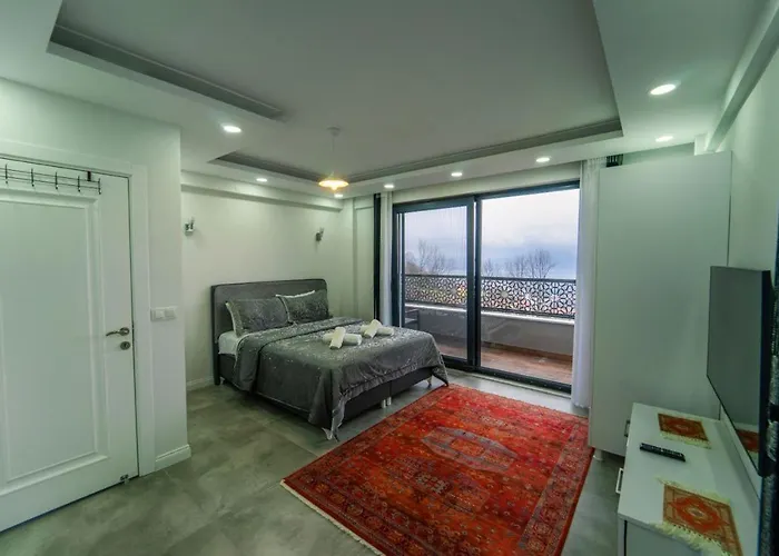 Villa Sapanca Villa Sapanca